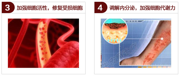 1510907774542759.jpg 4-1F912115325K5.jpg