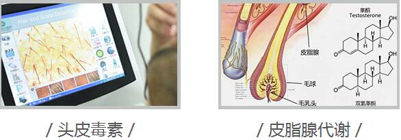 1515458603800821.jpg 222.jpg