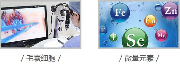 1515458641120747.jpg QQ截图20180109084237.jpg