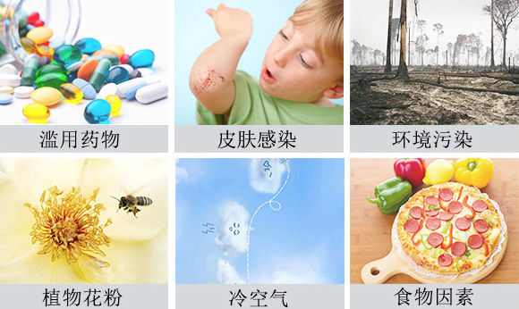 1526029849750431.jpg 1522743090682484.jpg